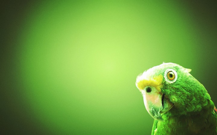green PARROT