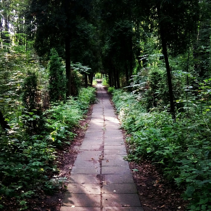 trail