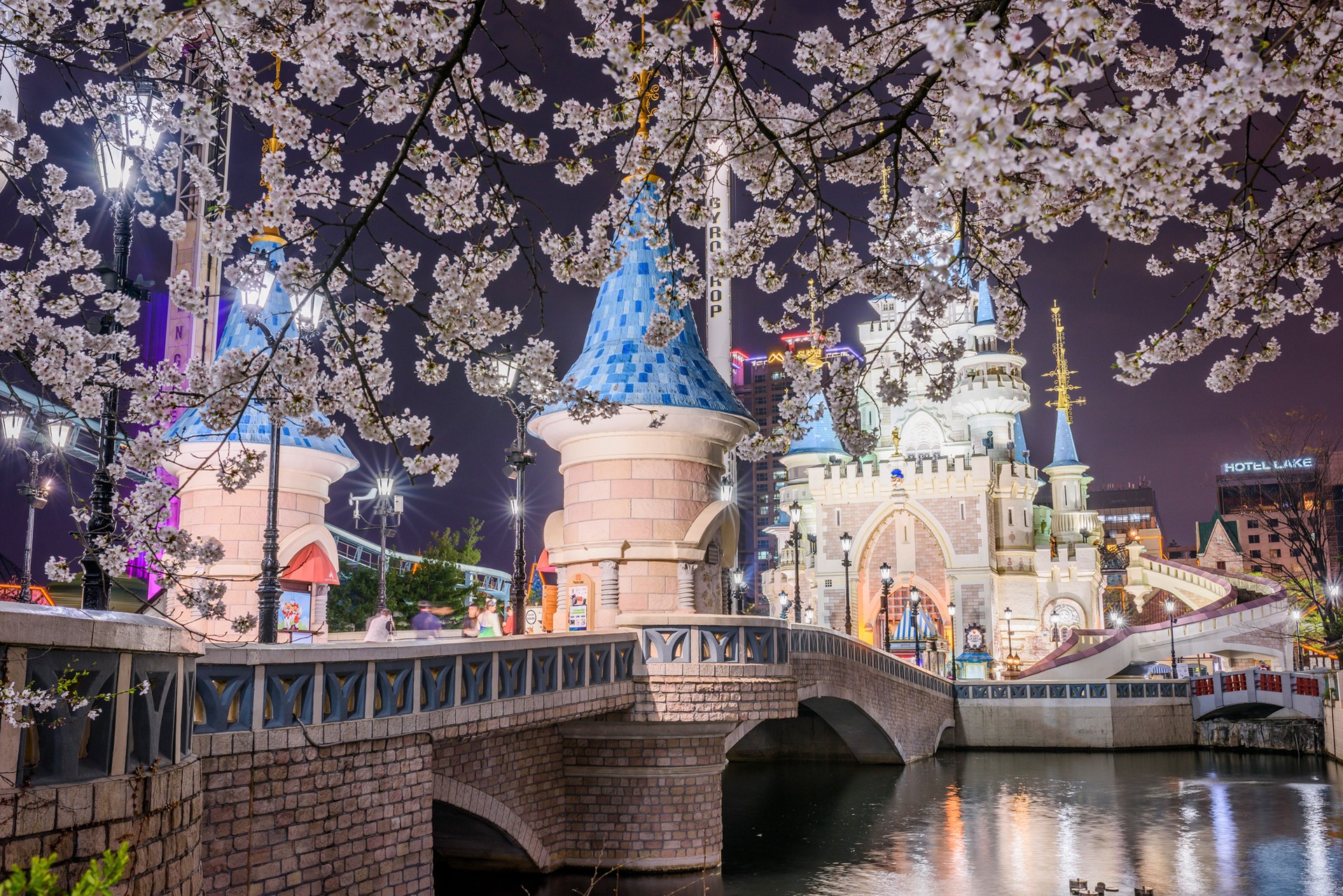 Fantasy world