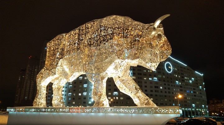 Bison