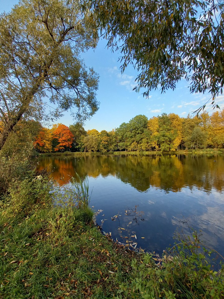autumn time