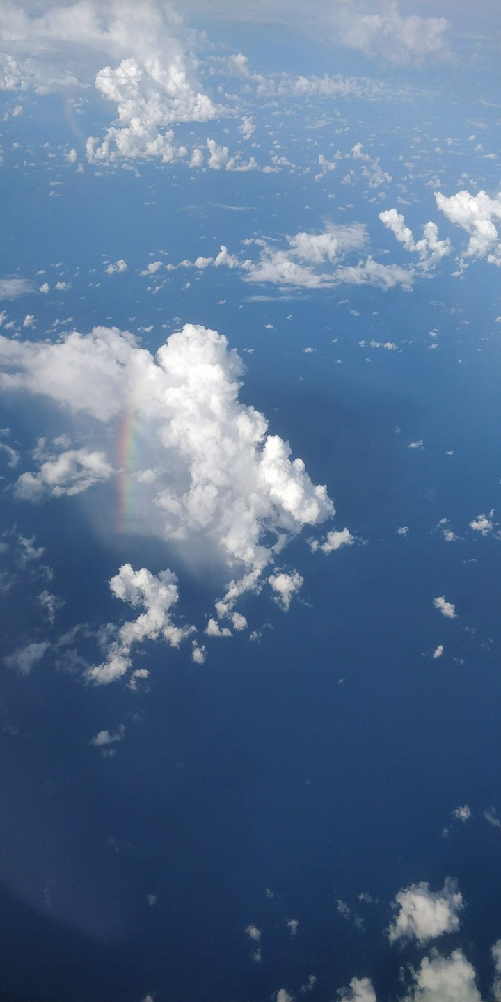 flight