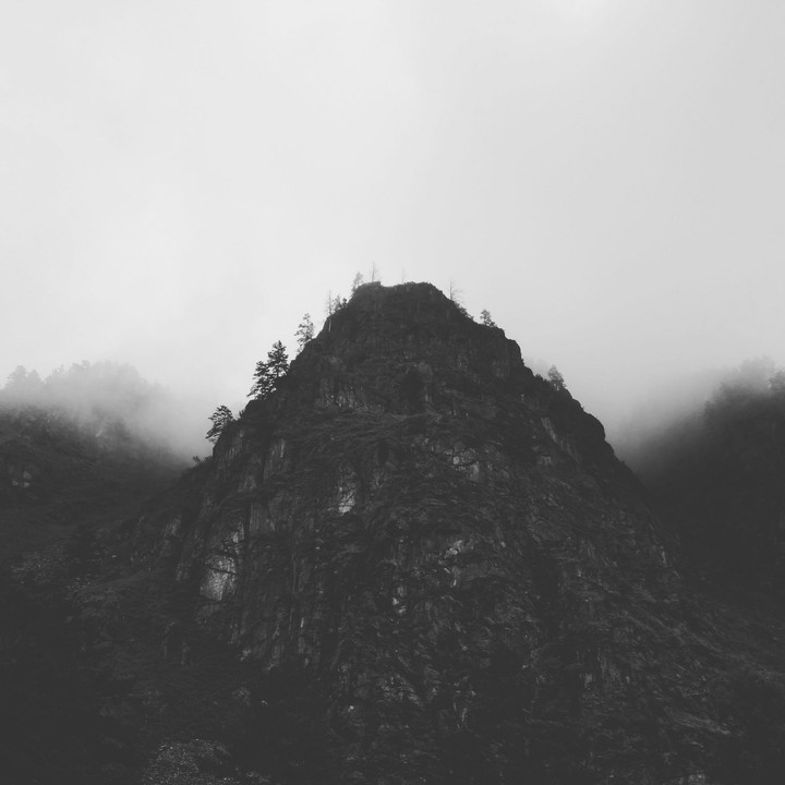 nmnk