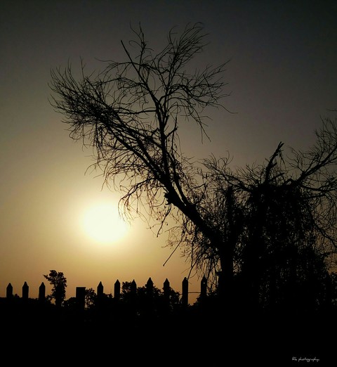 sunshine..