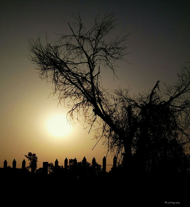 sunshine..