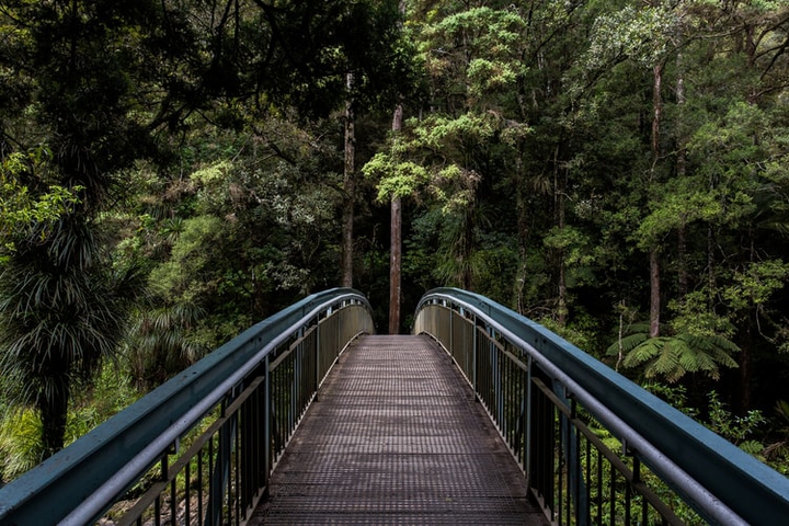 New Zealand
