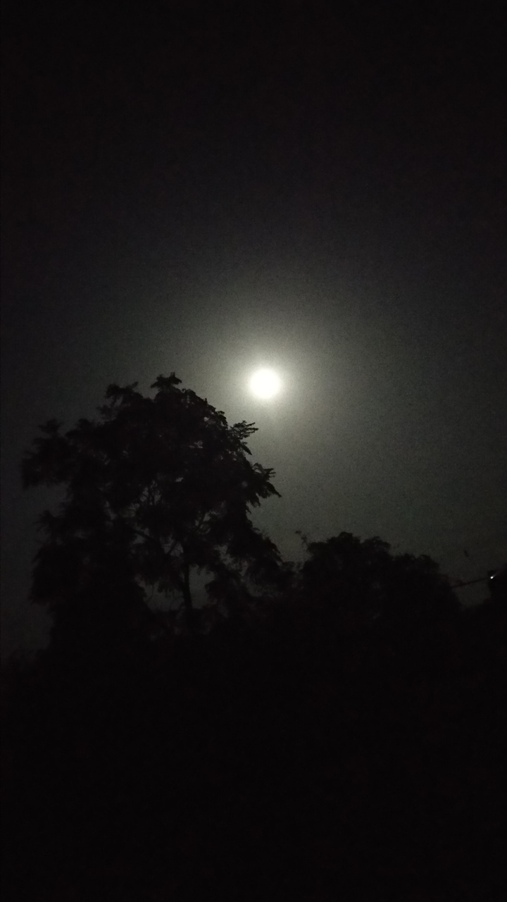 .moon