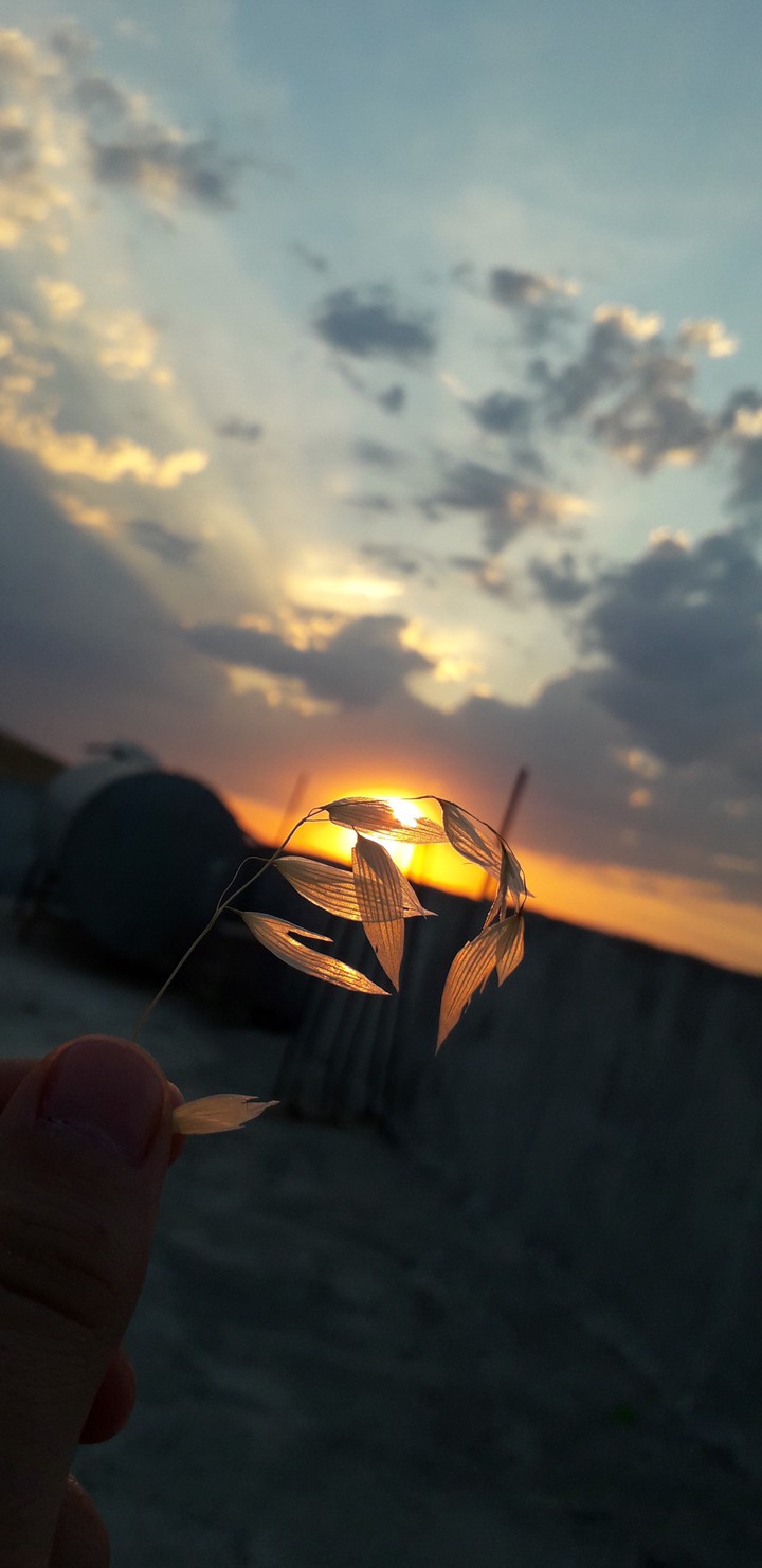 sky