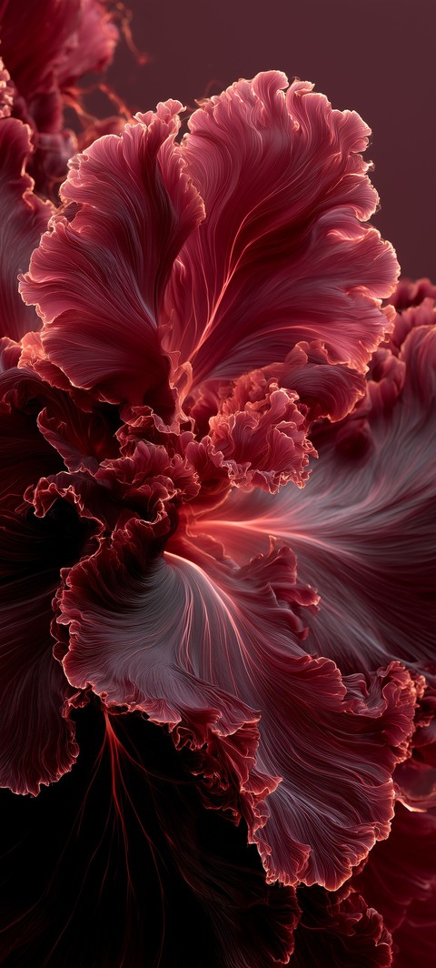 fonds d'écran petal, red