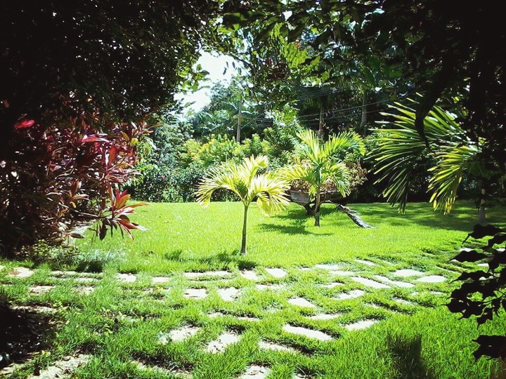 Jardim
