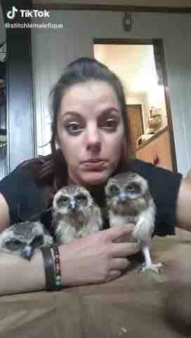 This lady has 3 adorable Owls ?