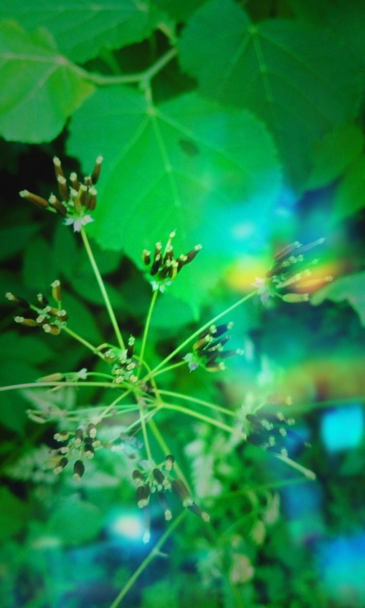 prism effect