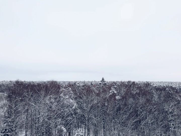 russian winter
