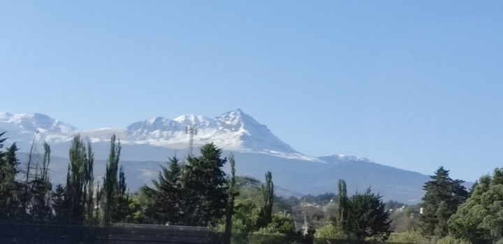 majestuoso