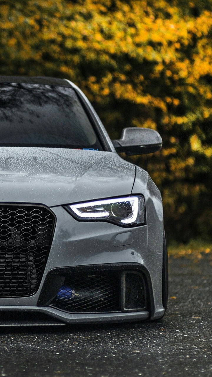 audi tuning