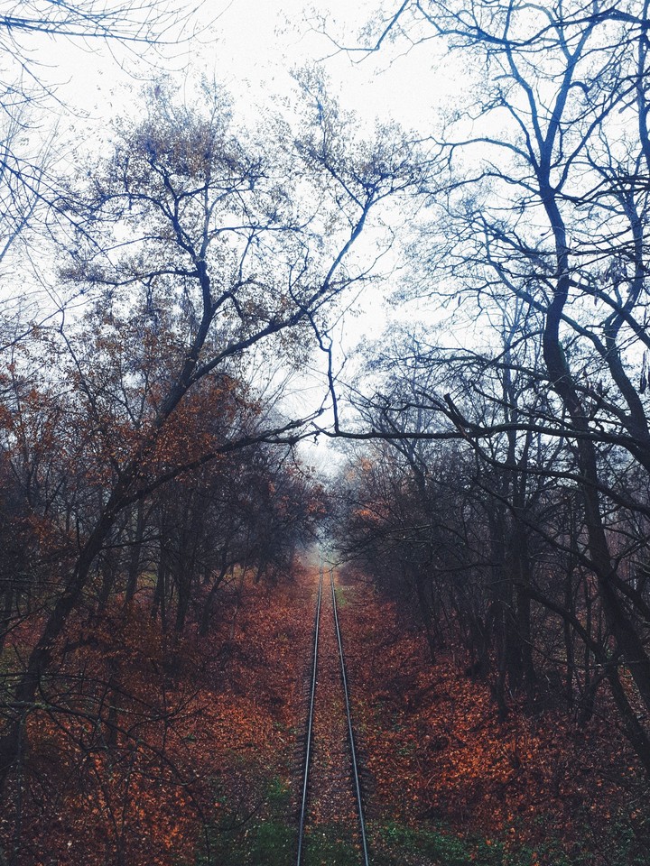 autumn mood