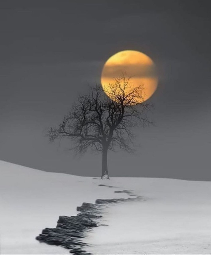 wallpapers_sah.spid