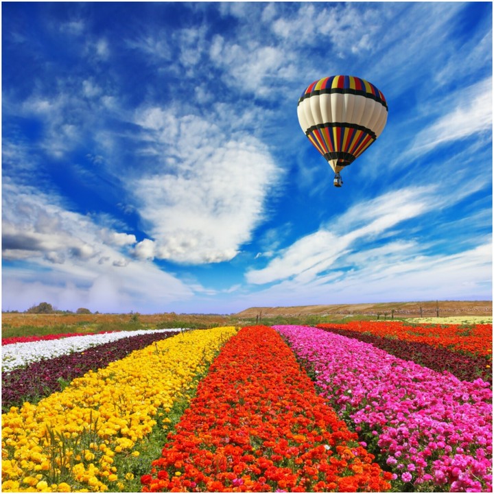 colourful...