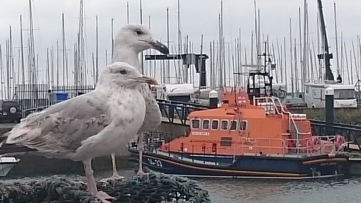 seagulls and lifeboat