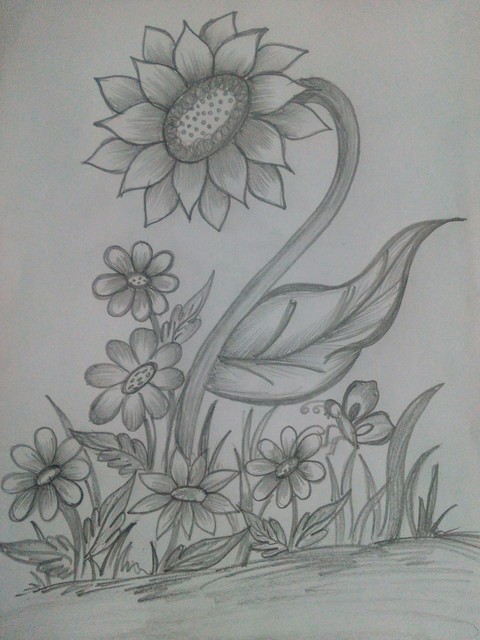 pencil sketch