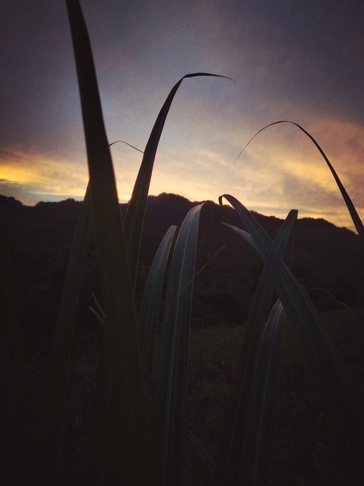 Sunset view