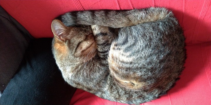 Niout dort, IS sleeping