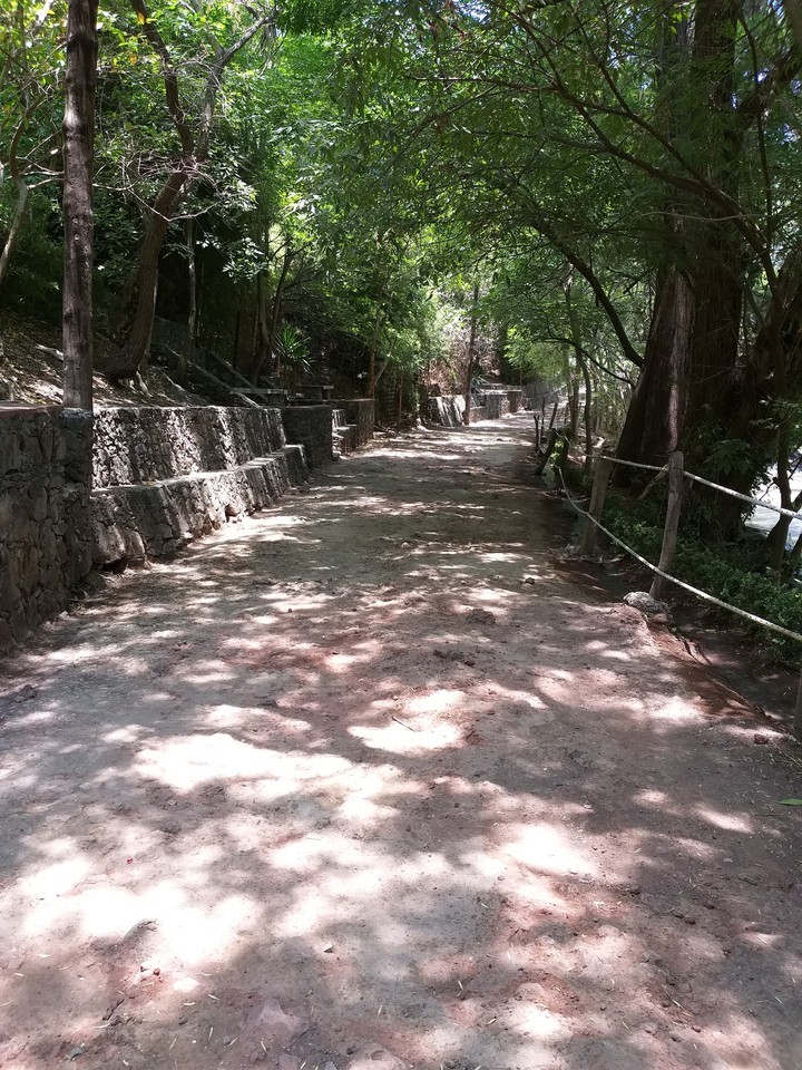 Green Path