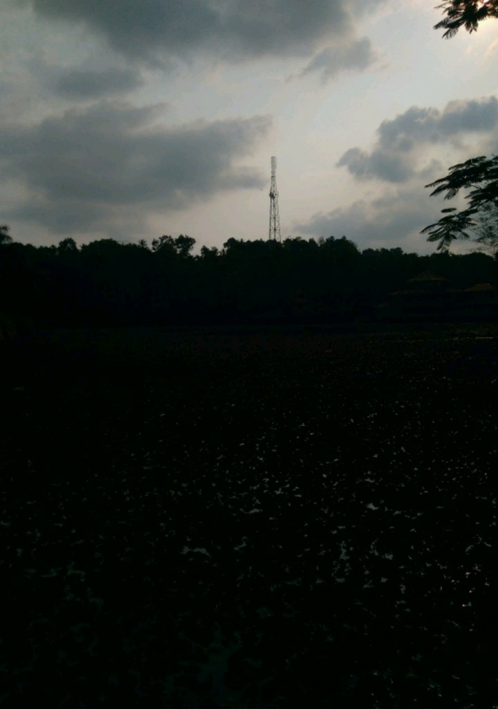 Night​ is so beautiful