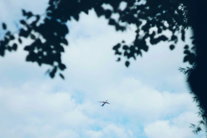 Plane