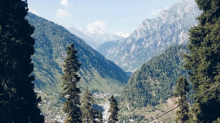 nature