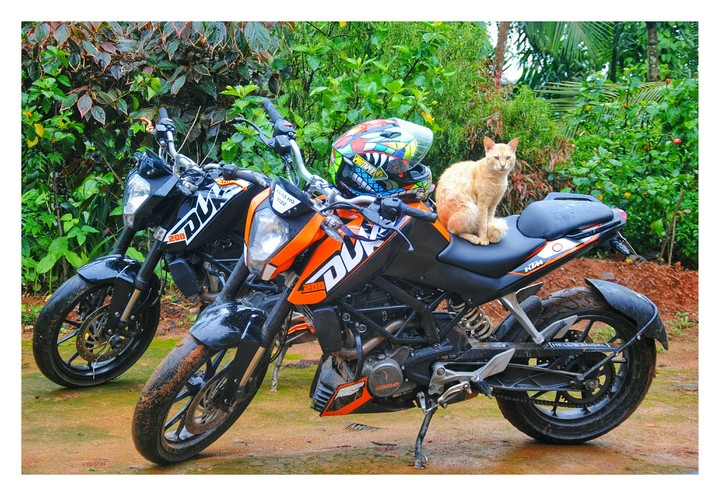 ktm Duke 200