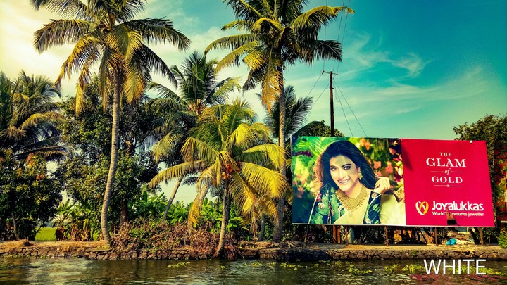 Kerala Nature