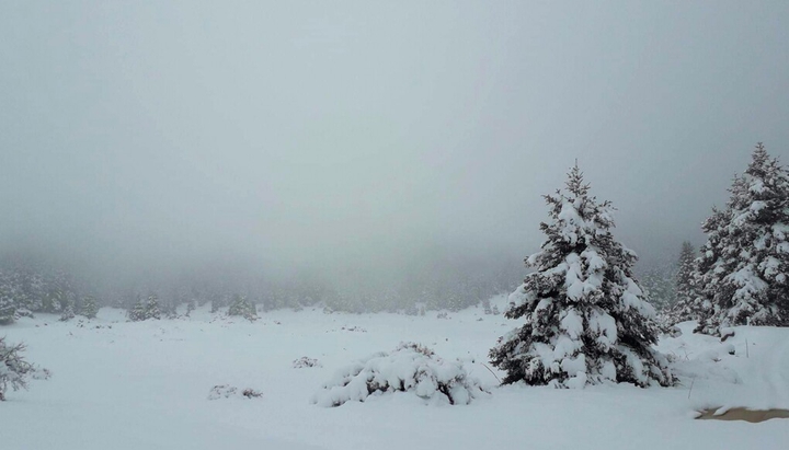 GOOD MORNING FROM WINTRY GREECE