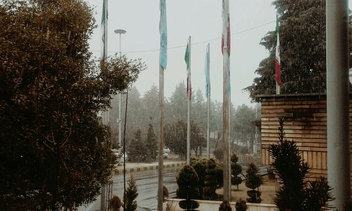 Rain and Fog