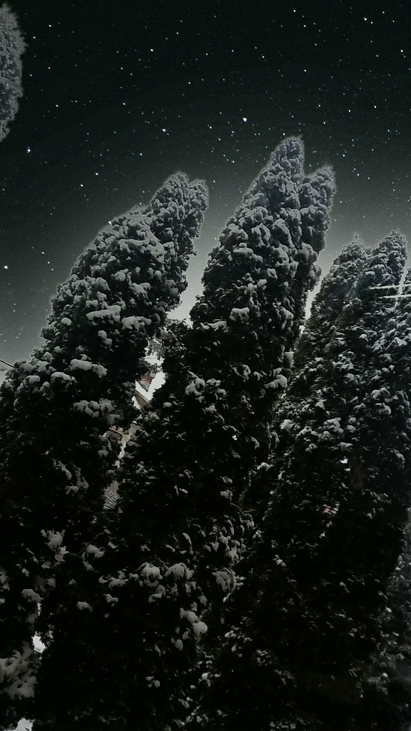 winter's coming
