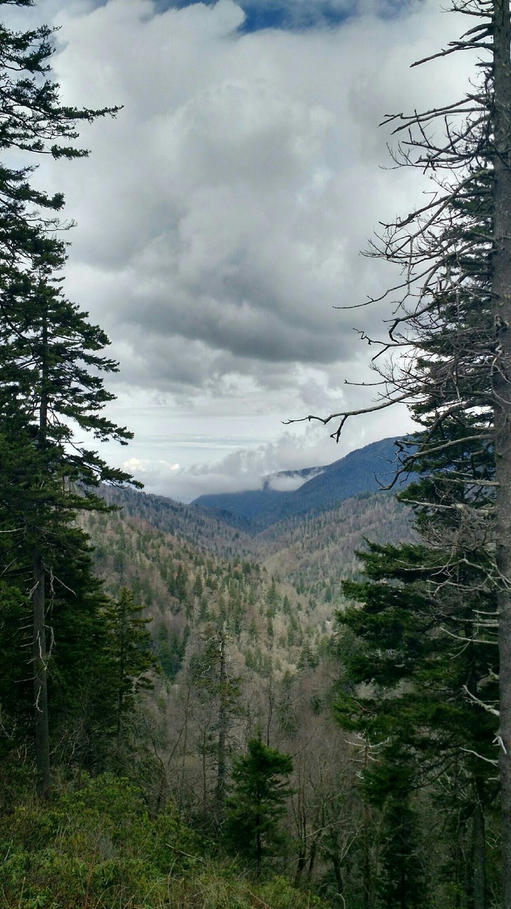 Bare mountains