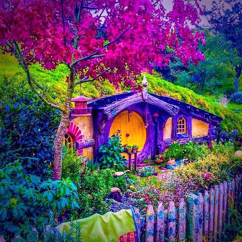 colored home