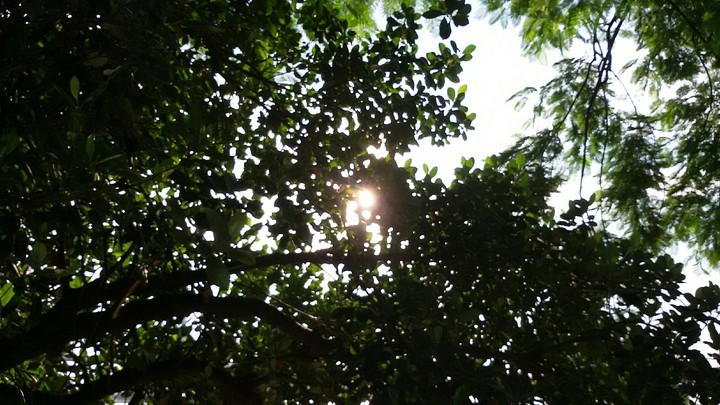Dusk sun