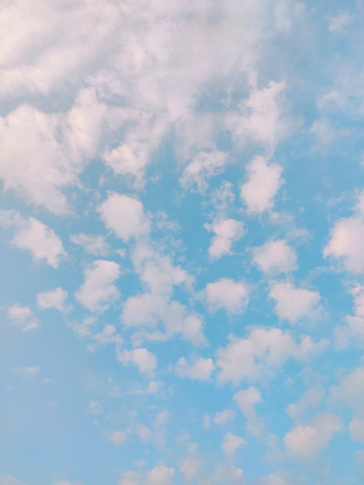 beauty of nature