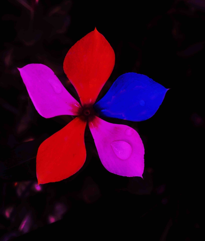 colours