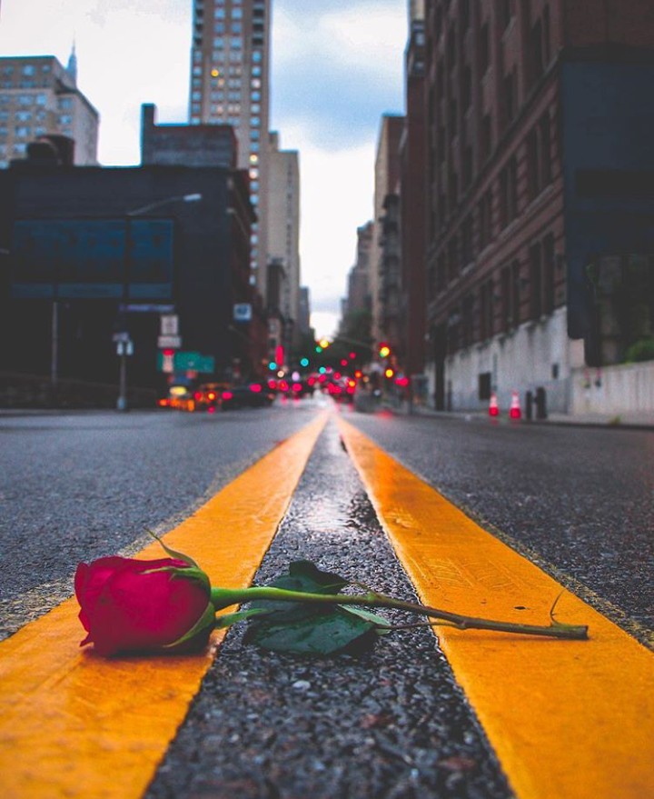 flor