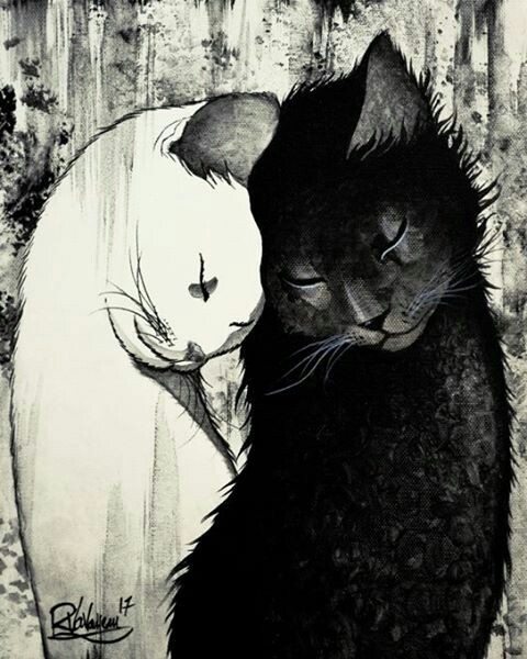 Black & White