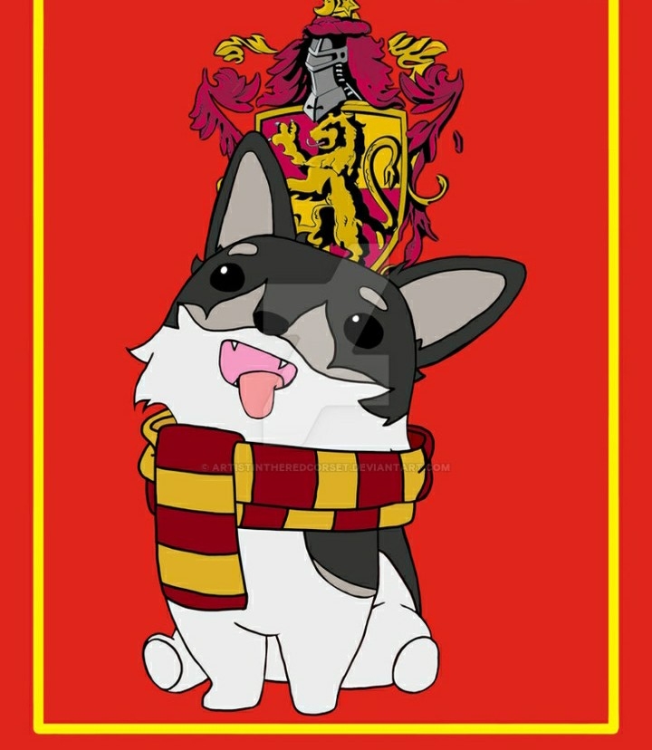 Gryffindor Zwei
