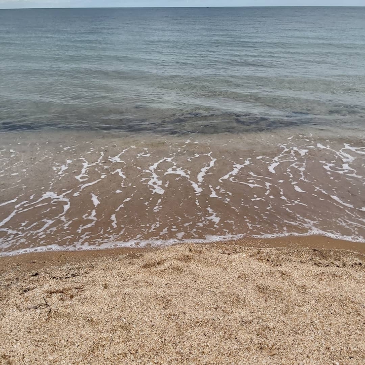 Море. Крым