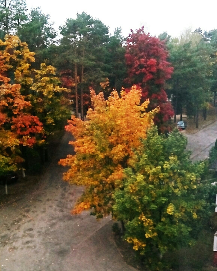 autumn