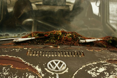 VW Bug