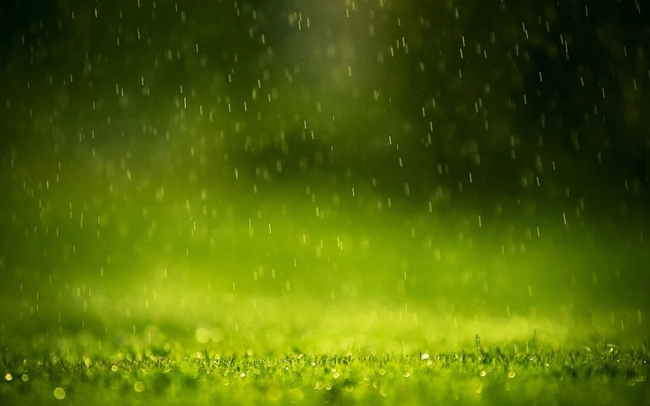 Rain