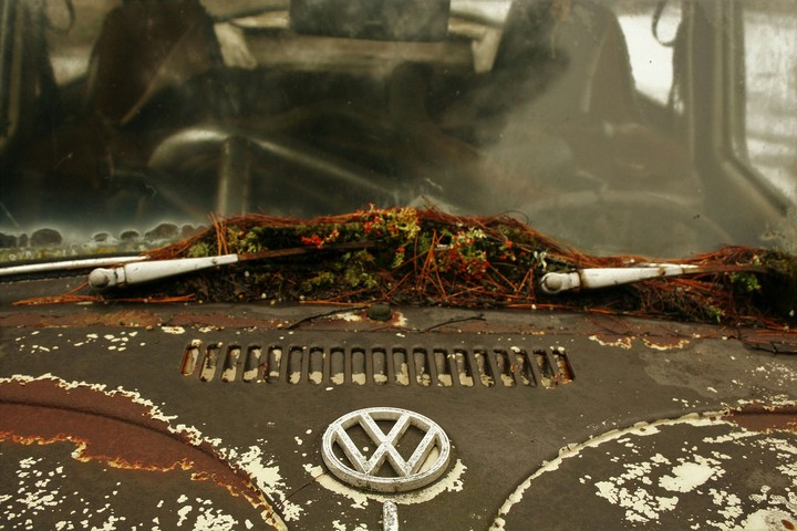 VW Bug