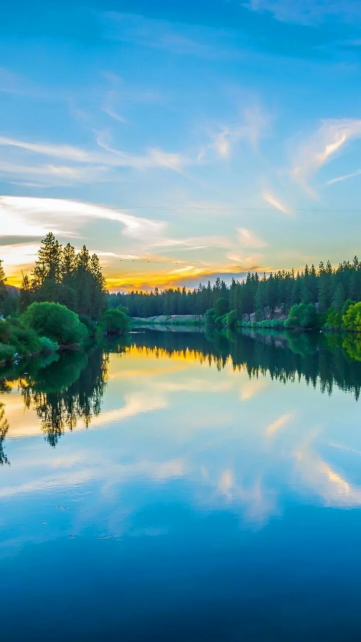 Nature