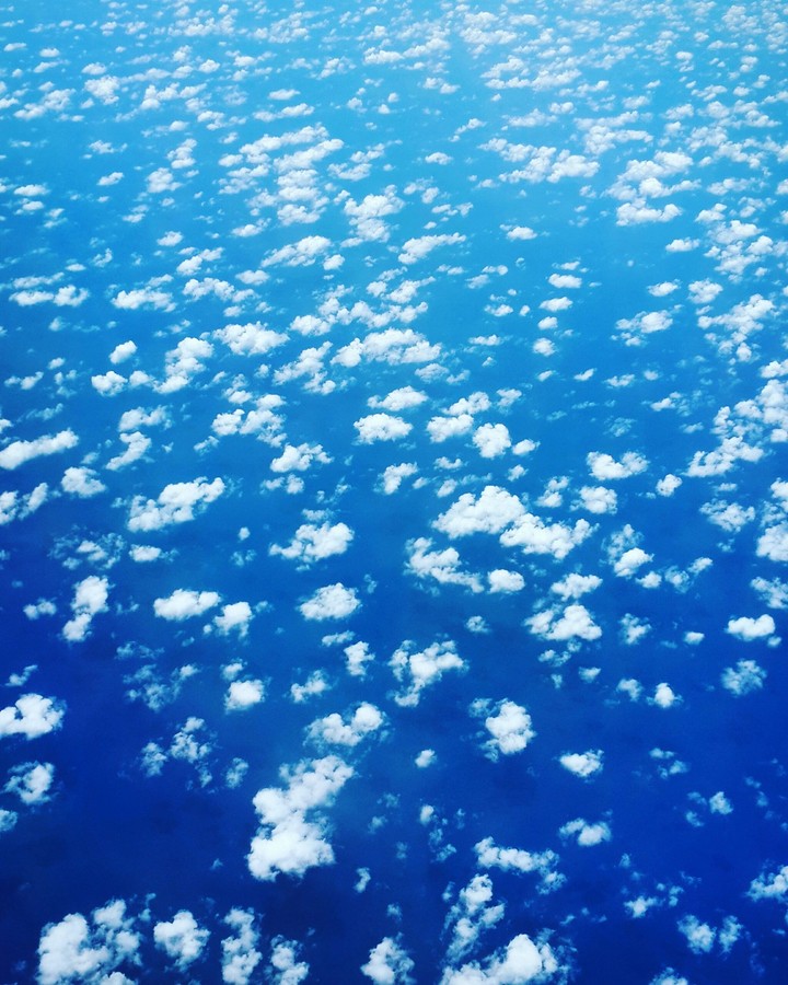 Down in the sky